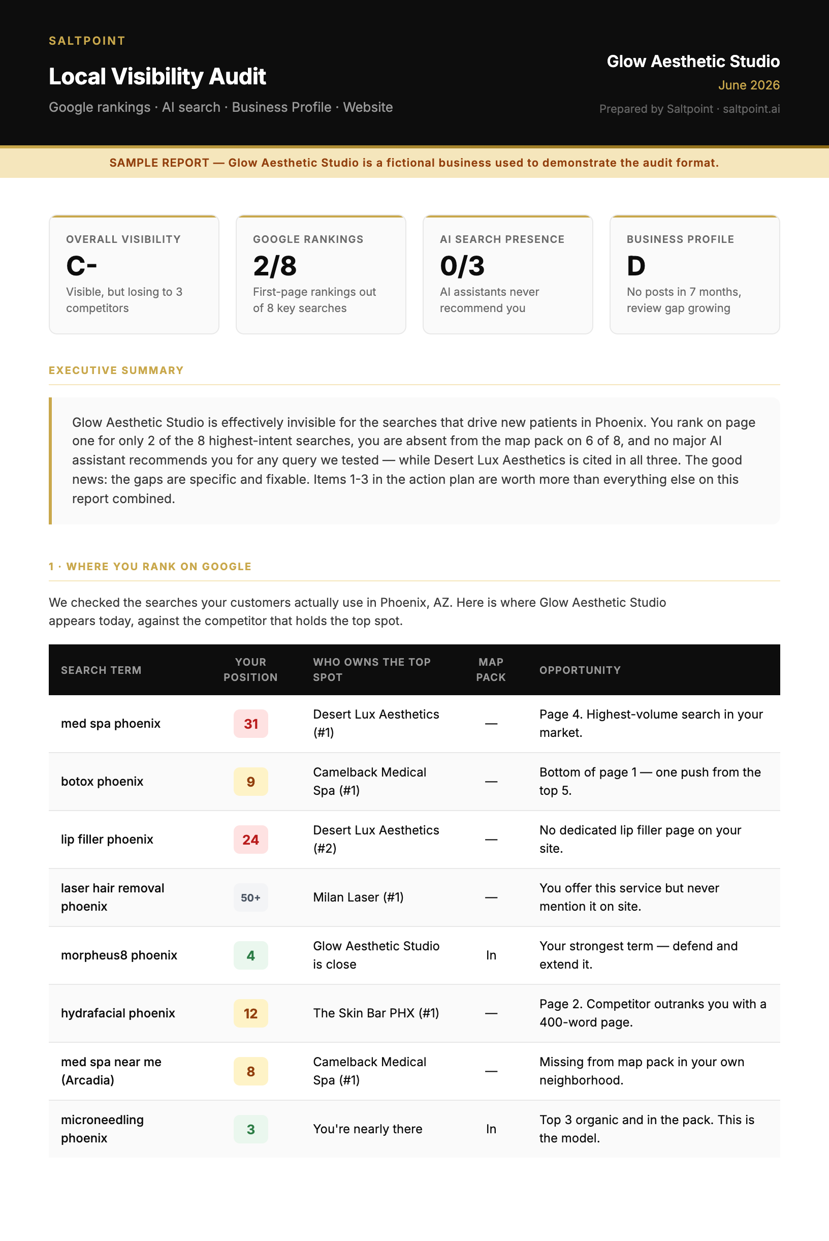 Sample audit page 1 — visibility scores and Google rankings table